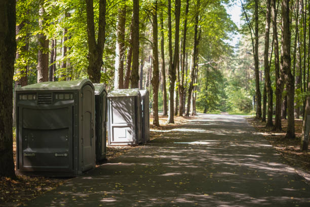 Best Affordable porta potty rental  in East Flat Rock, NC